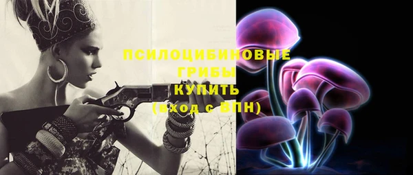 эйфоретик Михайловск