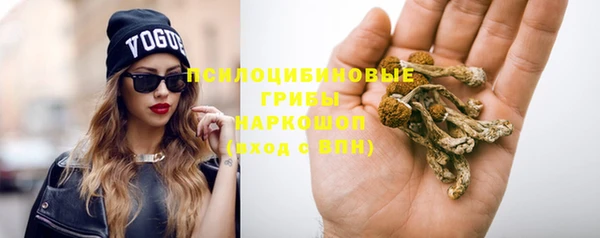 мяу мяу мука Михайлов