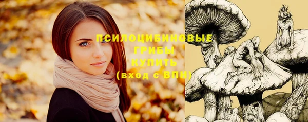 эйфоретик Михайловск