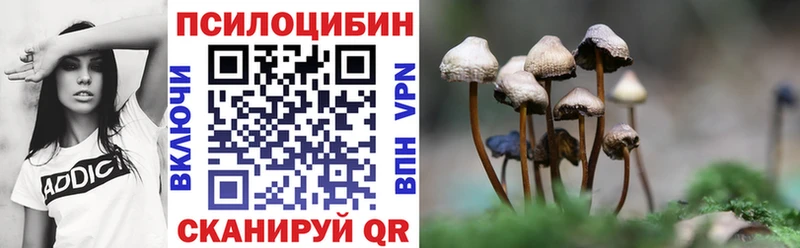 кракен зеркало где найти наркотики Малмыж Псилоцибиновые грибы Psilocybe