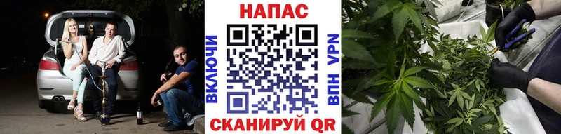 Бошки Шишки марихуана Малмыж